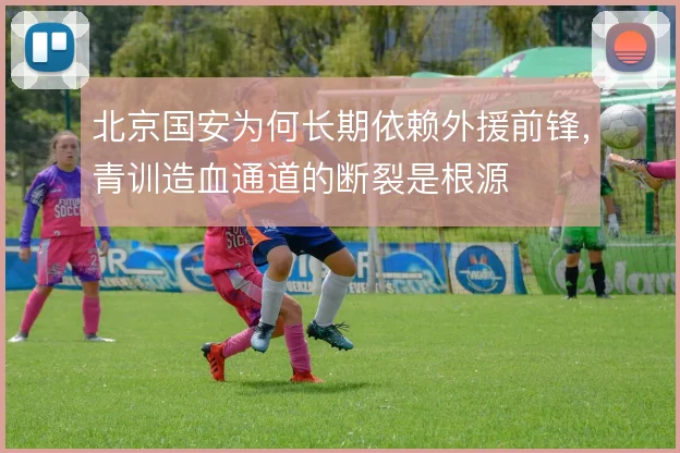 北京国安为何长期依赖外援前锋,青训造血通道的断裂是根源