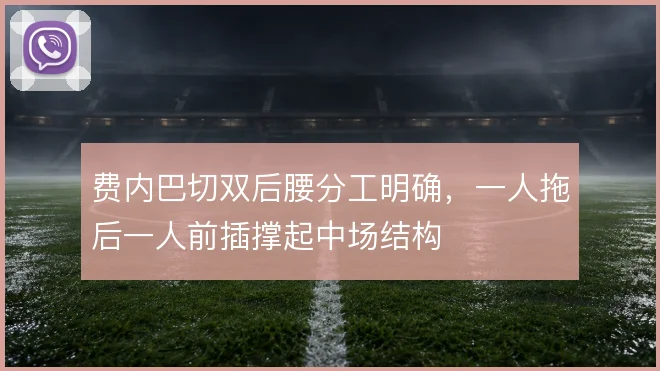 费内巴切双后腰分工明确,一人拖后一人前插撑起中场结构